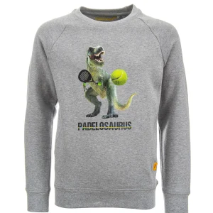 Discount - PADELOSAURUS Sweaters | Sweaters Zonder Kap