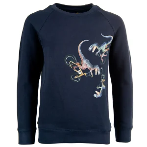 Outlet - VELOCIRAPTOR Sweaters | Sweaters Zonder Kap