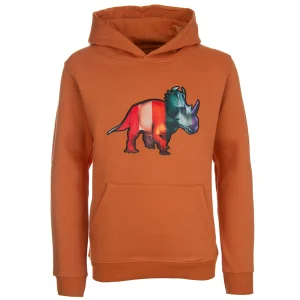 Sale - DINO Hoodies