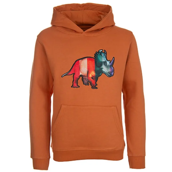 Fashion - DINO Hoodies