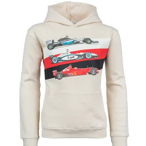 Discount - F1 Hoodies