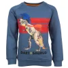 Best - DARTOSAURUS Sweaters | Sweaters Zonder Kap