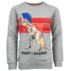 Best - DARTOSAURUS Sweaters | Sweaters Zonder Kap