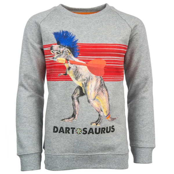 Best - DARTOSAURUS Sweaters | Sweaters Zonder Kap