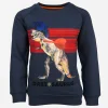 New - DARTOSAURUS Sweaters | Sweaters Zonder Kap