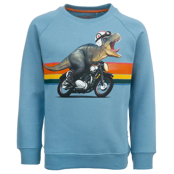 Hot - VROOMING Sweaters | Sweaters Zonder Kap