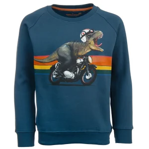 Hot - VROOMING Sweaters | Sweaters Zonder Kap