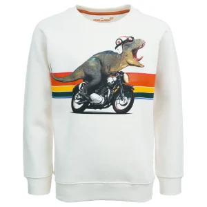 Online - VROOMING Sweaters | Sweaters Zonder Kap