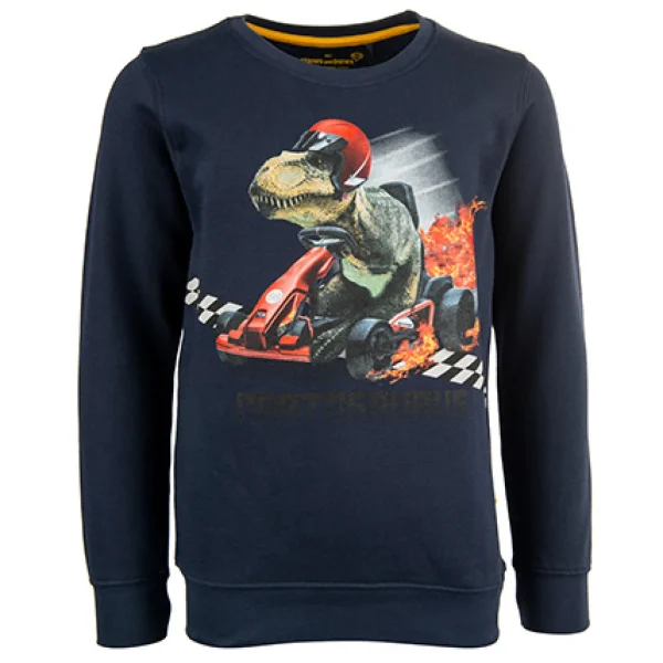 Sale - CARTOSAURUS Sweaters | Sweaters Zonder Kap