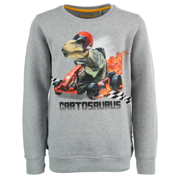 Hot - CARTOSAURUS Sweaters | Sweaters Zonder Kap