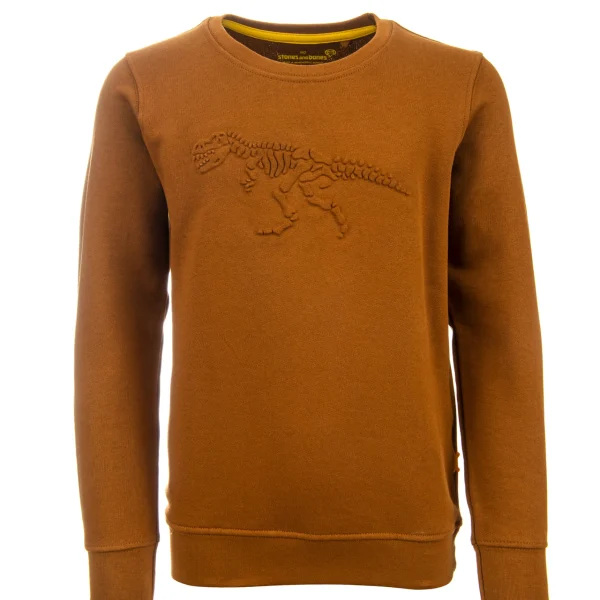 Best - EMBOSSED REX Sweaters | Sweaters Zonder Kap