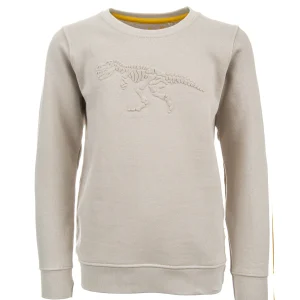 Clearance - EMBOSSED REX Sweaters | Sweaters Zonder Kap