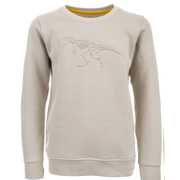 Clearance - EMBOSSED REX Sweaters | Sweaters Zonder Kap