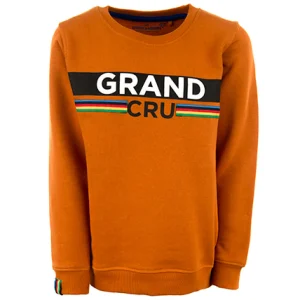 Online - GRAND CRU Sweaters | Sweaters Zonder Kap