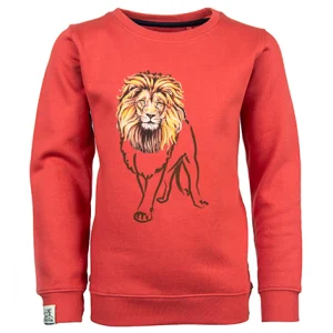 Fashion - LION Sweaters | Sweaters Zonder Kap