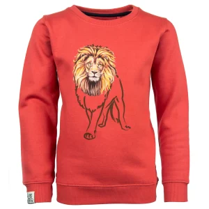 New - LION Sweaters | Sweaters Zonder Kap