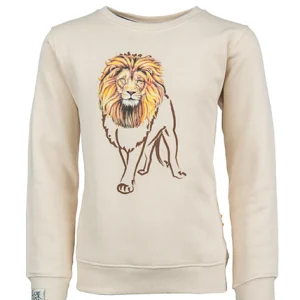 New - LION Sweaters | Sweaters Zonder Kap