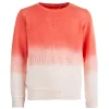 Outlet - WINNER coral pink Sweaters | Sweaters Zonder Kap