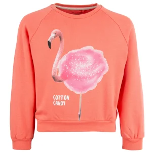 New - COTTON CANDY coral pink Sweaters | Sweaters Zonder Kap