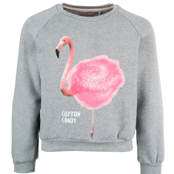 Best - COTTON CANDY Sweaters | Sweaters Zonder Kap