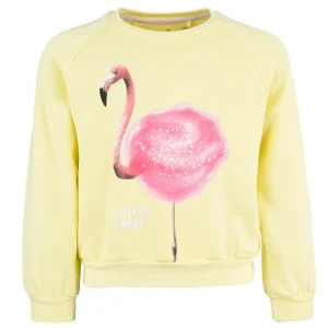 Sale - COTTON CANDY s. yellow Sweaters | Sweaters Zonder Kap