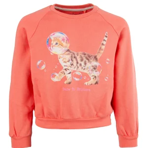 Sale - EXPLORE coral pink Sweaters | Sweaters Zonder Kap