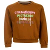 Sale - FLAVOURS Sweaters | Sweaters Zonder Kap