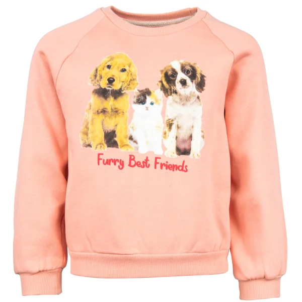 Best - FURRY Sweaters | Sweaters Zonder Kap