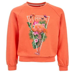 New - SUMMER Sweaters | Sweaters Zonder Kap