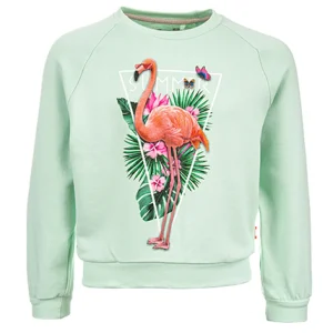 New - SUMMER Sweaters | Sweaters Zonder Kap