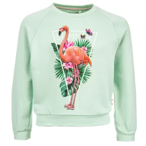 Outlet - SUMMER FLAMINGO Sweaters | Sweaters Zonder Kap