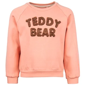 Online - TEDDY BEAR Sweaters | Sweaters Zonder Kap